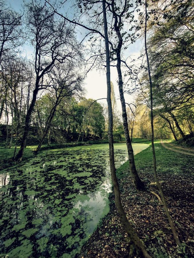 Domaine Du Val Sauvage Bed and Breakfast Langeais Buitenkant foto